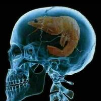 moeldoko-minta-habib-rizieq-pulang-sendiri-pa-212-jangan-asal-komentar