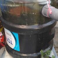 pecinta-ikan-komet-masuk-sini---part-1