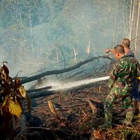 karhutla-seluas-116-hektare-melanda-12-kabupaten-di-aceh