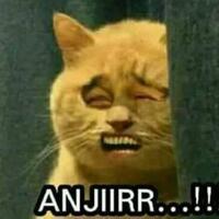 fpi-tarik-iuran-anggota-untuk-bayar-denda-overstay-rizieq