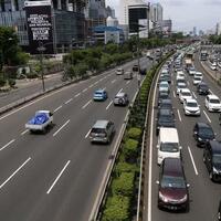 berkeliaran-di-tol-slipi-ular-piton-25-meter-mati-terlindas