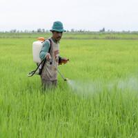 petani-diminta-lebih-bijak-menggunakan-pestisida