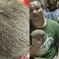 peternak-ini-tak-menyangka-benda-berbulu-di-tubuh-yg-disebelihnya-laku-rp-56-miliar