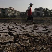 musim-kemarau-bppt-sebut-hujan-buatan-sulit-dilakukan