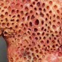 anda-tipe-penakut-yuk-simak-beberapa-tips-menghadapi-rasa-takut-berikut-ini