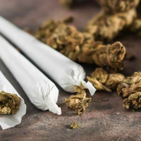 sampingan-bisnis-ganja-axl-roses-ditangkap-di-batam