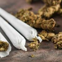 sampingan-bisnis-ganja-axl-roses-ditangkap-di-batam