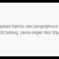 anies-menjabat-4-instalasi-ini-dipasang-dengan-biaya-mahal-dan-tidak-bertahan-lama