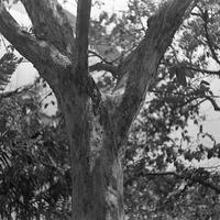 warung-ngumpul-penggemar-kamera-analog---part-6