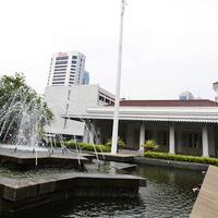 cegah-polusi-udara-pemprov-dki-akan-bagikan-lidah-mertua