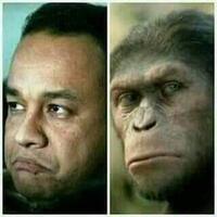 dibilang-pemprov-dki-atasi-polusi-faktanya-lidah-mertua-baru-ampuh-basmi-bau-amis