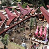 jangan-dekati-tanah-toraja-nanti-bisa-mati-penasaran
