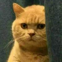 anies-lempar-isu-banjir-ke-menteri-pupr