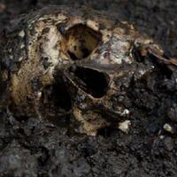 4-hal-aneh-dan-berbahaya-ini-malah-dinilai-legal-untuk-dilakukan