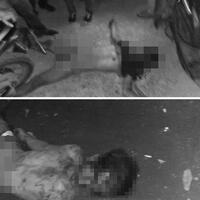 2-pencuri-motor-jamaah-masjid-di-jalan-tuasan-tewas-diamuk-satu-pelaku-kabur