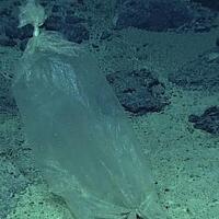 gila-ilmuwan-ini-menemukan-sampah-di-palung-mariana-udah-nyampe-sana