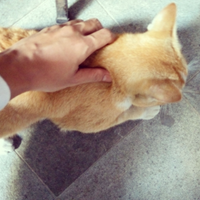 dear-warganet-warna-buluku-tidak-bersalah