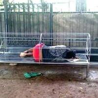 bukti-tersembunyi-people-62-ternyata-emang-nyeleneh