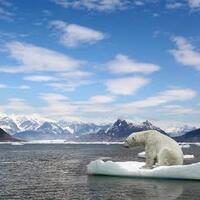 the-arctic-s-ice-sheet-is-melting-at-a-rapid-rate-11-billion-tons-in-one-day
