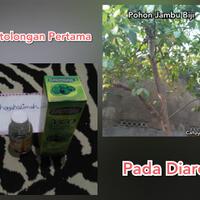 pertolongan-pertama-pada-bab