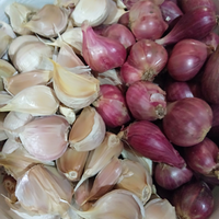 bawang-merah-bawang-putih-bumbu-dapur-pasangan-abadi