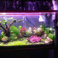 aquascape-for-everyone-learning-and-sharing---part-3