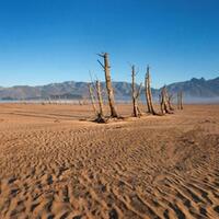 8-kota-mati-paling-menyeramkan-di-dunia-ada-di-indonesia