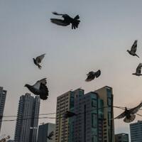 lampu-kuning-defisit-neraca-dagang-kuartal-ii-2019