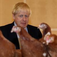 ekonomi-anjlok-pm-inggris-boris-johnson-berharap-pada-tenaga-ahli-asing