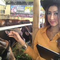 banyak-yang-berkurban-bi-bisa-turunkan-harga-daging