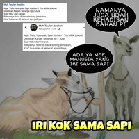 kala-sapi-jokowi-dinyinyiri-warganet