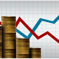 cara-bermain-forex-agar-tidak-rugi-untuk-pemula