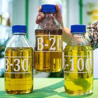 program-b30-bakal-dimulai-awal-2020