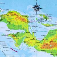 perjanjian-new-york-pintu-masuk-warga-papua-kenali-sejarahnya-sendiri