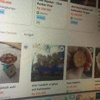 duh-akar-bajakah-terancam-eksploitasi-diobral-rp-100-ribu-di-lapak-online