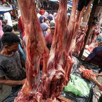 indonesia-alihkan-impor-daging-sapi-dari-australia-ke-brasil