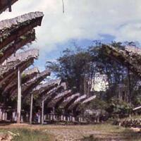 asal-mula-suku-toraja-dan-munculnya-agama-hindu-dharma