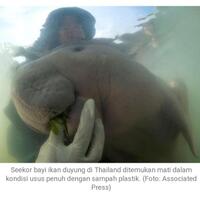 sampahlah-pembunuhnya-dugooong