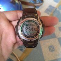 want-to-buy-casio-pathfinder-pas410b-5v-hunting-timer---fishing-timer