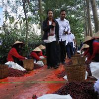 rini-minta-pln-perbaiki-sistem-pemulihan-gangguan