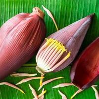 cangkok-jantung-babi-ke-manusia-terwujud-dalam-3-tahun