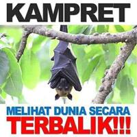 mengapa-seorang-mahasiswa-berbuat-irasional-dan-menyebar-aibnya-sendiri