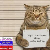 hati-hati-5-makanan-ini-berbahaya-buat-kucing