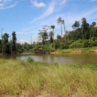 forest-city-jadi-konsep-ibu-kota-baru-indonesia-di-kaltim