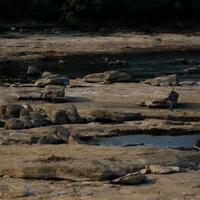 jakarta-dan-banten-masuk-puncak-musim-kemarau