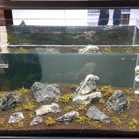 aquascape-for-everyone-learning-and-sharing---part-3