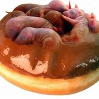 12-makanan-ekstrem-di-dunia-ada-plasenta-bayi-dan-kotoran-manusia-berani-coba