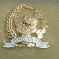 tak-hanya-dprd-dki-dpr-ri-juga-anggarkan-pin-emas