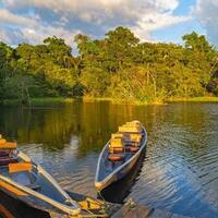 kebakaran-di-hutan-amazon-bukti-bahayanya-populisme-sayap-kanan