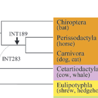 tidak-runtuhnya-teori-evolusi-dalam-20-jawaban---part-1